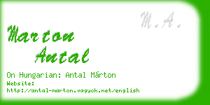 marton antal business card