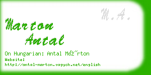 marton antal business card